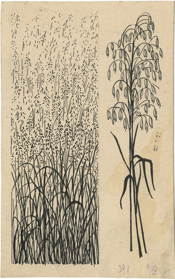 Дорфман Елизавета Григорьевна. Эскиз книжной иллюстрации для издательства Детгиз